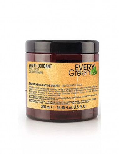 Mascarilla Anti Oxidant Uso Frecuente Every Green