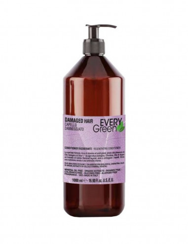 Champú Damaged Hair regenerador Every Green