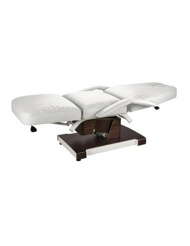 Camilla eléctrica Hallic 3 cuerpos y 2 motores Weelko recta