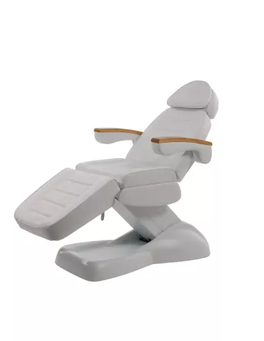 Camilla Eléctrica Clavi 4 Motores