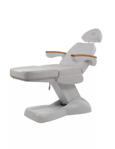 Camilla Eléctrica Clavi 4 Motores