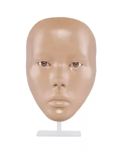 Maniquí Facial Para Práctica De Maquillaje Medio