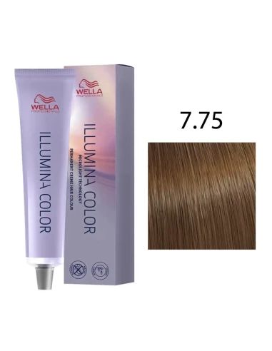 Illumina Color