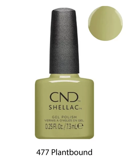 Shellac CND