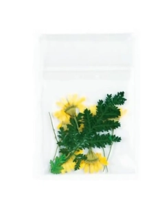 Flores secas para decoración de uñas