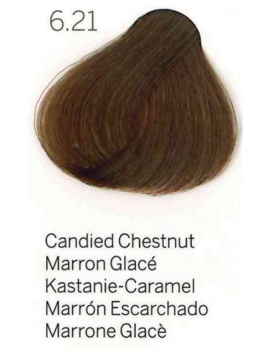 Coloración semi permanente Young Color Excel