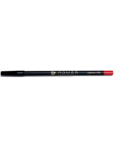Lápiz de labios Asuer Group 56