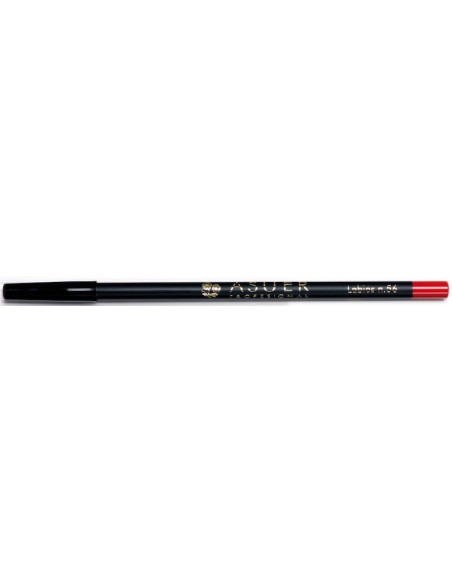 Lápiz de labios Asuer Group 56