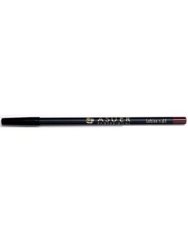 Lápiz de labios Asuer Group 61