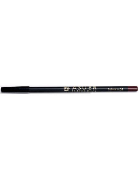 Lápiz de labios Asuer Group 61