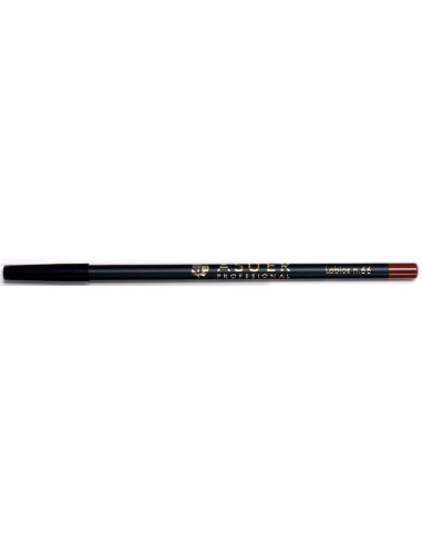 Lápiz de labios Asuer Group 66