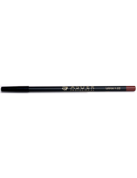 Lápiz de labios Asuer Group 66