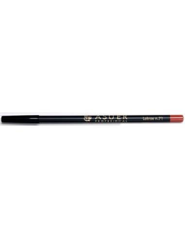 Lápiz de labios Asuer Group 71