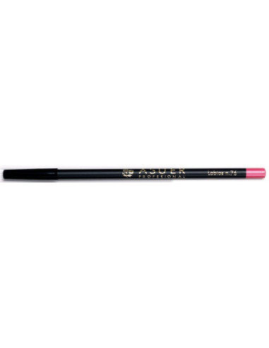 Lápiz de labios Asuer Group 76