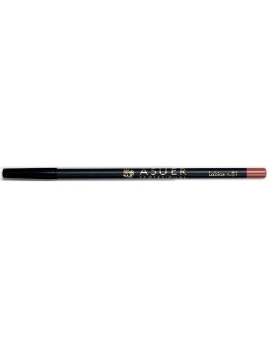 Lápiz de labios Asuer Group 81