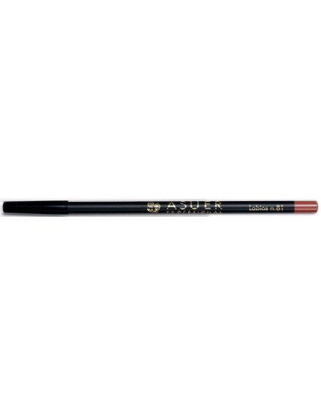 Lápiz de labios Asuer Group 81